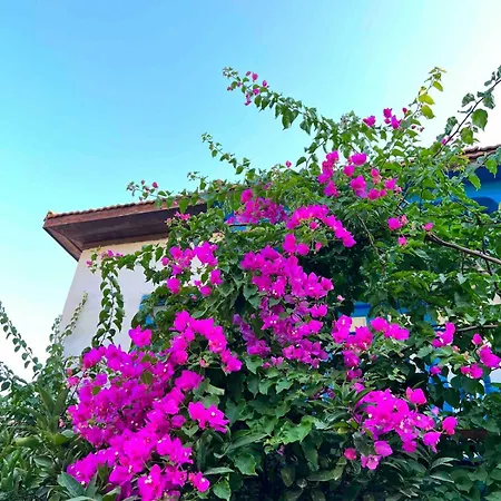 House With Blue Balcony Holiday home