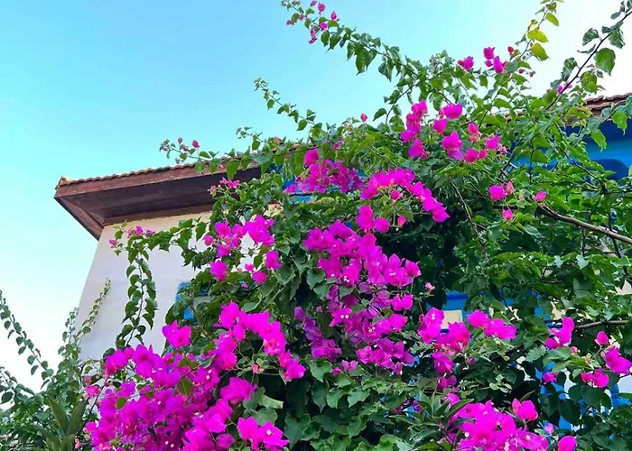 House With Blue Balcony Holiday home